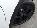 MINI Cooper C Cabrio Mini 2.0 Classic M Blanco - thumbnail 41