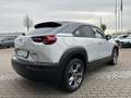 Mazda MX-30 E-SKYACTIV EV ADVANTAGE IV / Kamera /Abst-Tempomat Weiß - thumbnail 7