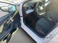 SEAT Ibiza Road Edition 1.0 TSI 6-Gang *RFK*SHZ*LED* Blanc - thumbnail 14