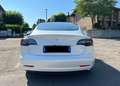 Tesla Model 3 Model 3 Long Range Dual Motor awd Bianco - thumbnail 2