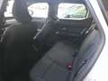 Dacia Duster Duster 1.0 Expression Eco-g 100cv Bianco - thumbnail 11