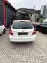 Skoda Fabia Combi Fresh Weiß - thumbnail 5