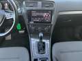 Volkswagen Golf VII  e- Matrix 2xKlima AUT DynLicht LED Gris - thumbnail 12
