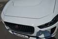 Jaguar I-Pace S EV400 AWD Weiß - thumbnail 9