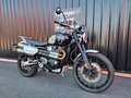 Triumph Scrambler Noir - thumbnail 2