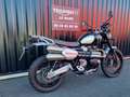 Triumph Scrambler Noir - thumbnail 3