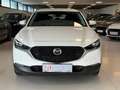 Mazda CX-30 D116 Comfort+ *HAGELSCHADEN* Weiß - thumbnail 2