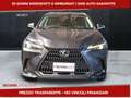 Lexus NX 350h 350h 2.5 Premium 4wd e-cvt Grigio - thumbnail 2