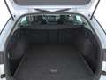 Skoda Octavia Combi 1.5 TSI Selection MATRIX RADAR NAVI Weiß - thumbnail 24