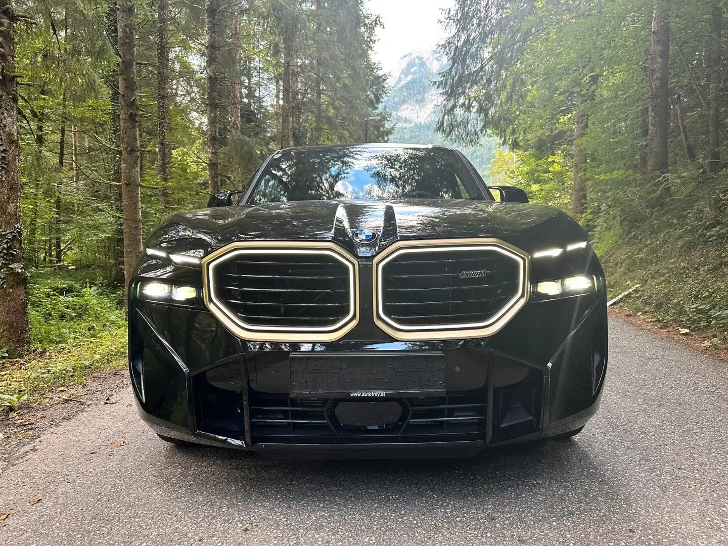 BMW XM 4.4 *sofort--Top AHK- Schwarz - 2
