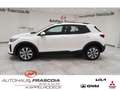 Kia Stonic 1.0 VISION Rückfahrkam. PDC hi. Apple CarPlay Andr Wit - thumbnail 8
