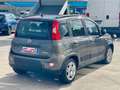 Fiat Panda Panda III 2021 1.0 hybrid City Life *5 POSTI* Gris - thumbnail 6