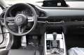 Mazda CX-30 e-SKYACTIV-G 2.0 M HYBRID DRIVE SELECTION Weiß - thumbnail 28