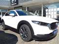 Mazda CX-30 SKYACTIV-X 2.0 M Hybrid 6AG SELECTION DES-P ACT-P Blanc - thumbnail 3