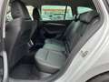 Skoda Octavia Combi 2,0 TDI Style DSG | €45.000 Weiß - thumbnail 14