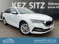 Skoda Octavia Combi 2,0 TDI Style DSG | €45.000 Weiß - thumbnail 1