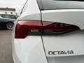 Skoda Octavia Combi 2,0 TDI Style DSG | €45.000 Weiß - thumbnail 40