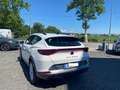 CUPRA Formentor 1.5 TSI Bianco - thumbnail 6