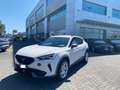 CUPRA Formentor 1.5 TSI Bianco - thumbnail 1