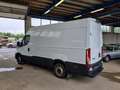 Iveco Daily L2 H2 35S14EA8V 3520 Automatik - Topzustand! Wit - thumbnail 8
