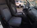 Citroen Nemo CITROEN NEMO 1.3 HDI 80 CV CARGO Alb - thumbnail 11