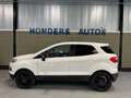 Ford EcoSport 1.0 EcoBoost Titanium S I WINTER-PACK I NAVI I VOO Wit - thumbnail 2