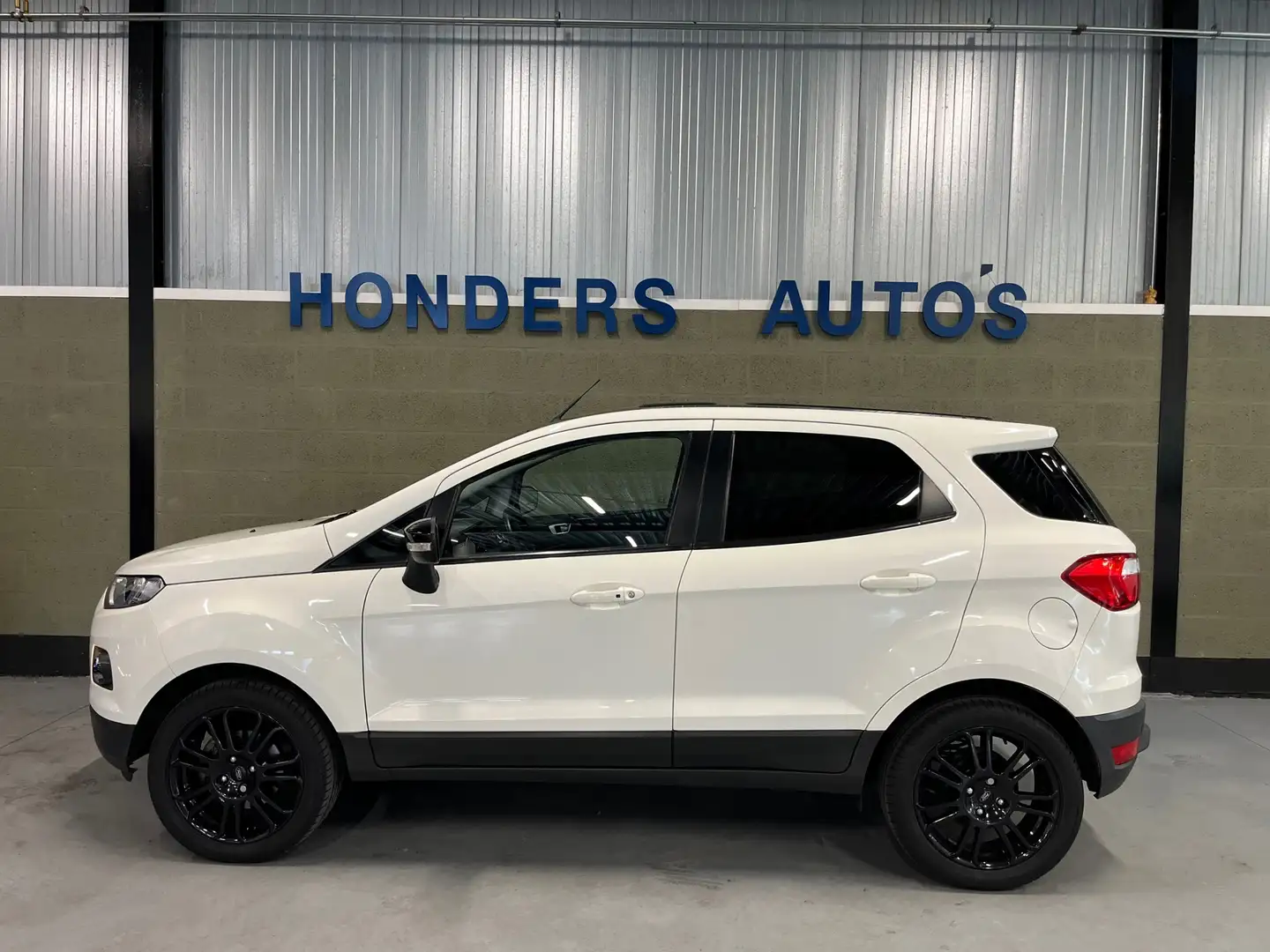Ford EcoSport 1.0 EcoBoost Titanium S I WINTER-PACK I NAVI I VOO Wit - 2