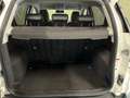 Ford EcoSport 1.0 EcoBoost Titanium S I WINTER-PACK I NAVI I VOO Wit - thumbnail 39