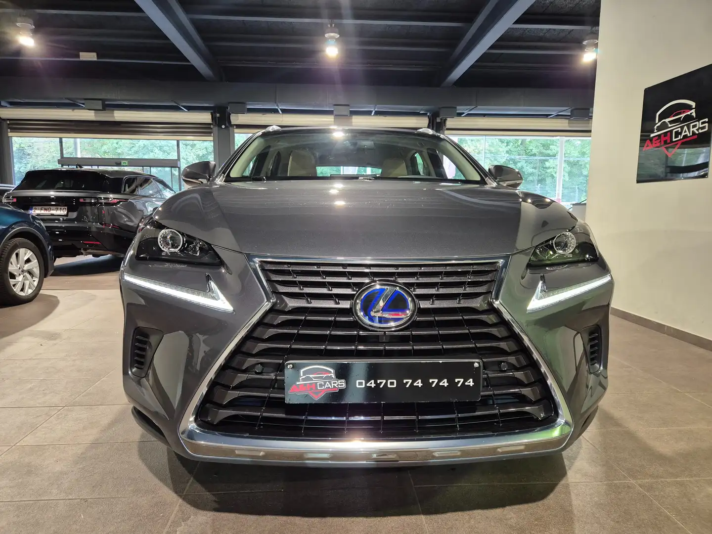 Lexus NX 300 Gris - 2