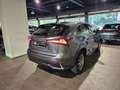 Lexus NX 300 Gris - thumbnail 6