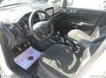 Ford EcoSport 1.0 EcoBoost 100 CV ST-Line Bl. Ed. PROMO WEB Blanco - thumbnail 17
