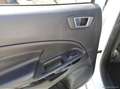 Ford EcoSport 1.0 EcoBoost 100 CV ST-Line Bl. Ed. PROMO WEB Weiß - thumbnail 20