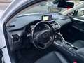 Lexus NX 300 h Executive,7 Jahe Garantie,Tüv 05/2027 Blanc - thumbnail 16