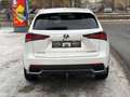 Lexus NX 300 h Executive,7 Jahe Garantie,Tüv 05/2027 Blanc - thumbnail 6