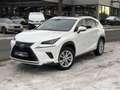 Lexus NX 300 h Executive,7 Jahe Garantie,Tüv 05/2027 Blanc - thumbnail 1