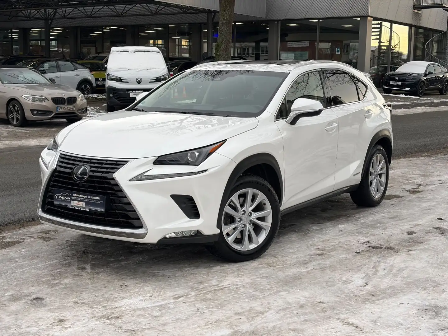 Lexus NX 300 h Executive,7 Jahe Garantie,Tüv 05/2027 Blanc - 1
