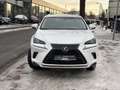Lexus NX 300 h Executive,7 Jahe Garantie,Tüv 05/2027 Blanc - thumbnail 2