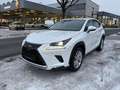 Lexus NX 300 h Executive,7 Jahe Garantie,Tüv 05/2027 Blanc - thumbnail 17