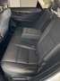 Lexus NX 300 h Executive,7 Jahe Garantie,Tüv 05/2027 Blanc - thumbnail 19