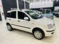 Fiat Panda 1.4 natural power Climbing Wit - thumbnail 2