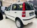 Fiat Panda 1.4 natural power Climbing Wit - thumbnail 14