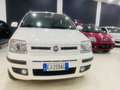 Fiat Panda 1.4 natural power Climbing Wit - thumbnail 1