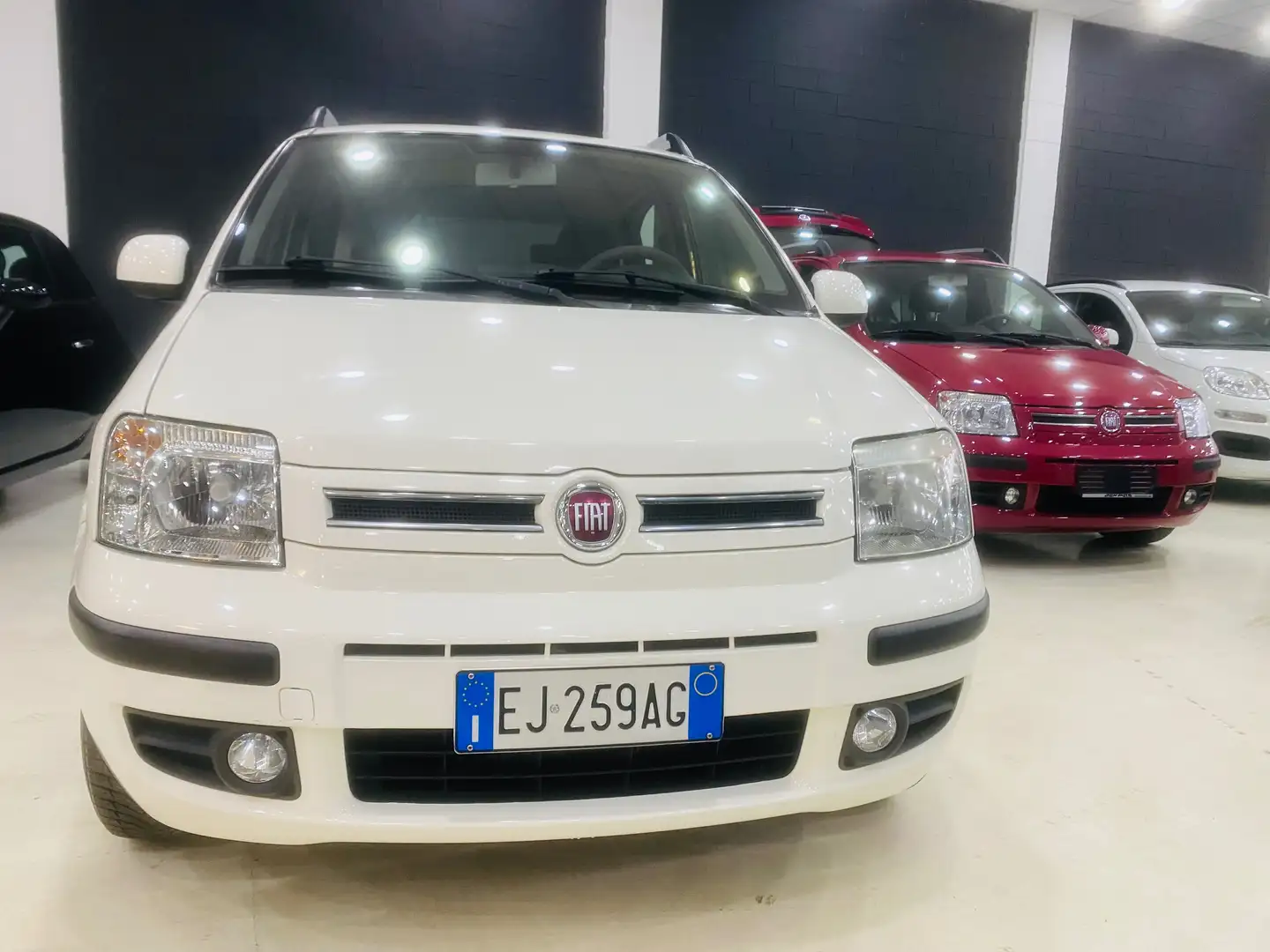 Fiat Panda 1.4 natural power Climbing Wit - 1