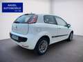 Fiat Punto Evo MyLife/Klima/Navi/MFL/FSE/8-fach Weiß - thumbnail 7