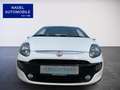 Fiat Punto Evo MyLife/Klima/Navi/MFL/FSE/8-fach Weiß - thumbnail 16