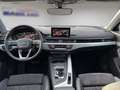 Audi A4 allroad A4 allroad quattro 3.0 TDI *Pano*Stand*LED*AHK* Weiß - thumbnail 10