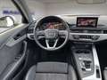 Audi A4 allroad A4 allroad quattro 3.0 TDI *Pano*Stand*LED*AHK* Weiß - thumbnail 16