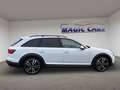 Audi A4 allroad A4 allroad quattro 3.0 TDI *Pano*Stand*LED*AHK* Weiß - thumbnail 11