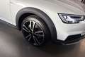 Audi A4 allroad A4 allroad quattro 3.0 TDI *Pano*Stand*LED*AHK* Weiß - thumbnail 24