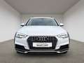 Audi A4 allroad A4 allroad quattro 3.0 TDI *Pano*Stand*LED*AHK* Weiß - thumbnail 15